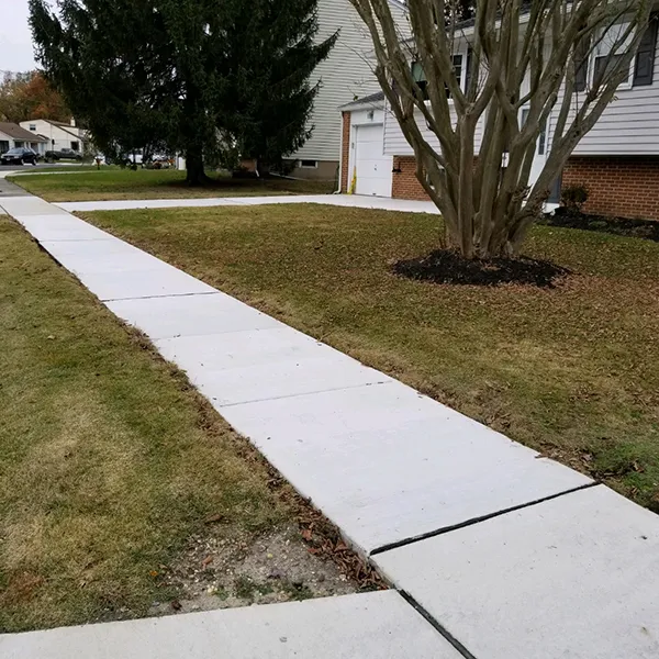 New concrete sidewalk running through a front lawn past a flowering tree, similar to Lawnside, NJ yards